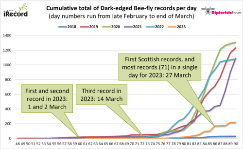 Line chart showing the accumulation of Dark-edged Bee-fly, Bombylius major, records per day, from end of February (day 48) to end of March (day 90). By the end of March, year 2018 had only 31 records; year 2023 has 220 records; all intervening years had over 1,000 records.