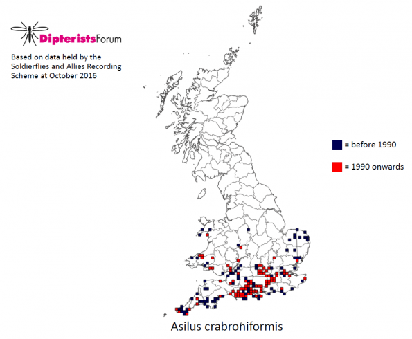 Distribution map for Asilus crabroniformis