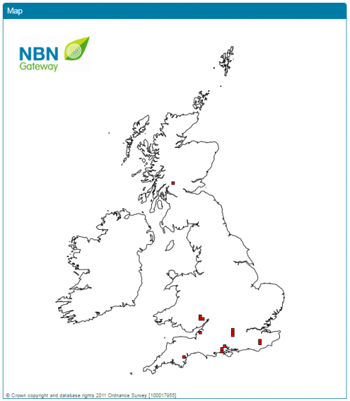 NBN Gateway map for Atrichops crassipes