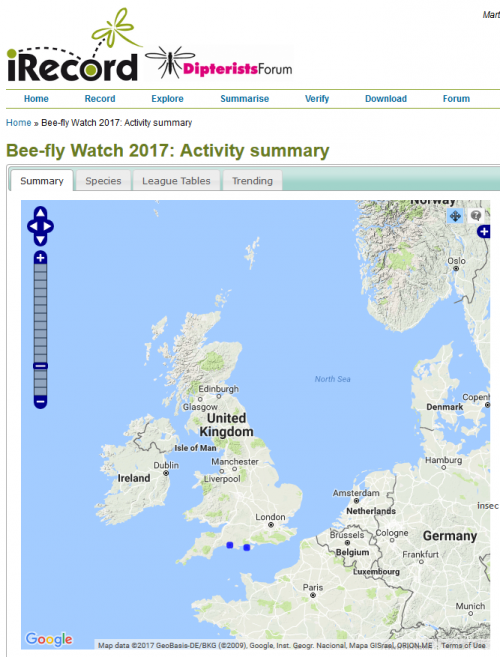 The first bee-fly records for 2017, on the south coast