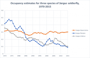 Occupancy estimates for three species of Sargus soldierfly