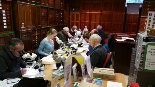 A workshop at the British Entomological and Natural History Society