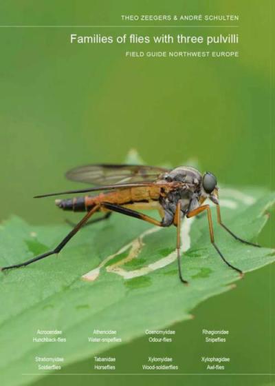 Front cover of Field guide to flies with three pulvilli